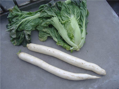对于不同蔬菜的保鲜方法是什么呢? 对于不同蔬菜的保鲜方法是什么呢?