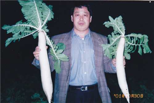 保鲜大根