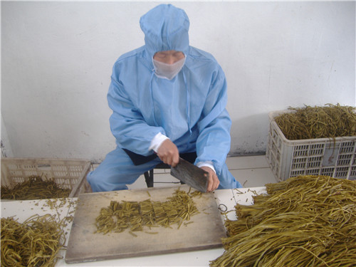 盐渍山芋梗加工