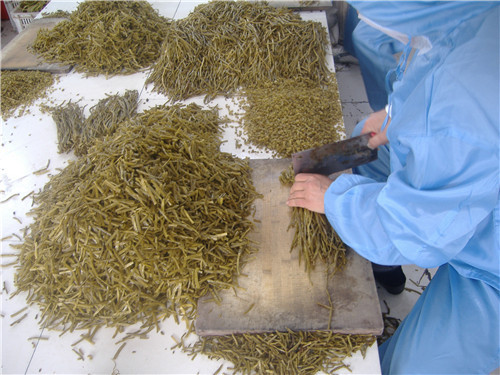 盐渍山芋梗加工