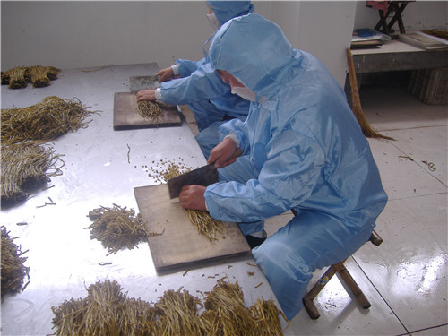 盐渍山芋梗加工