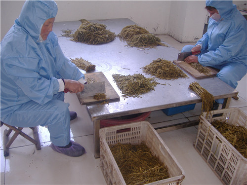 盐渍山芋梗加工
