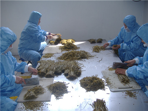 盐渍山芋梗加工