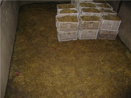 盐渍山芋梗