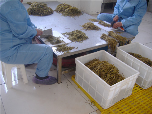 盐渍山芋梗加工