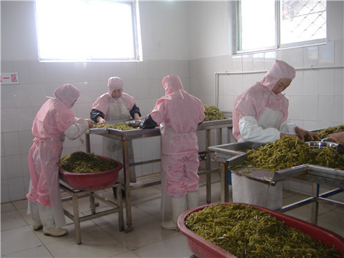 盐渍山芋梗加工