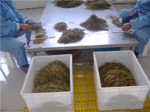 盐渍山芋梗加工