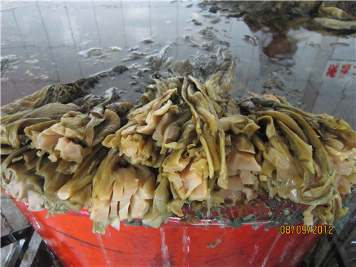 盐渍三池高菜
