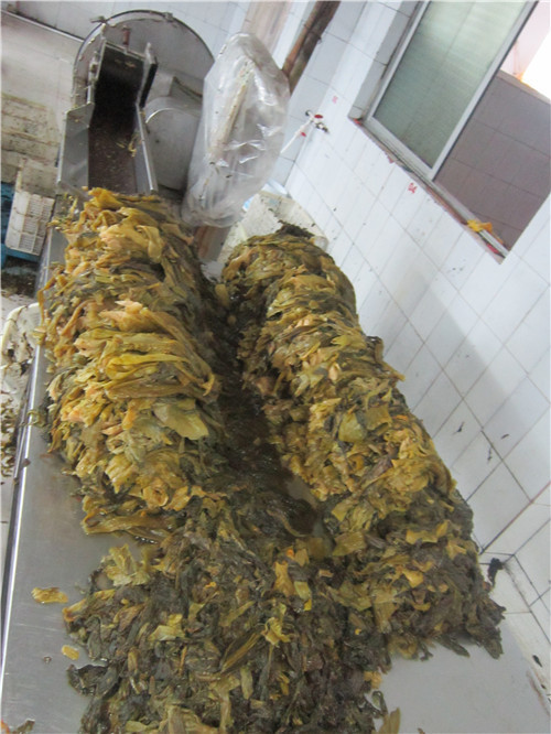 盐渍三池高菜
