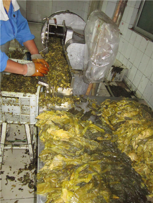 盐渍三池高菜