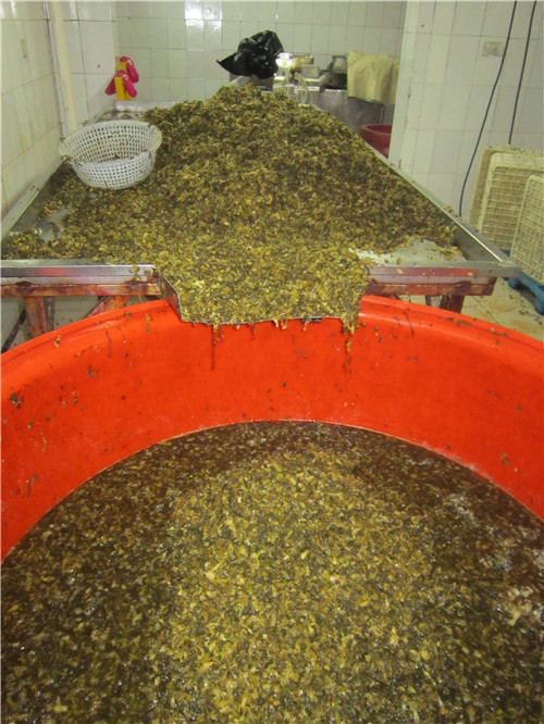 三池高菜切段