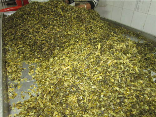 盐渍三池高菜切断