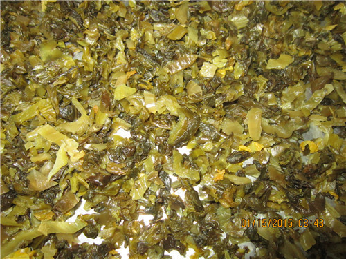 三池高菜切段