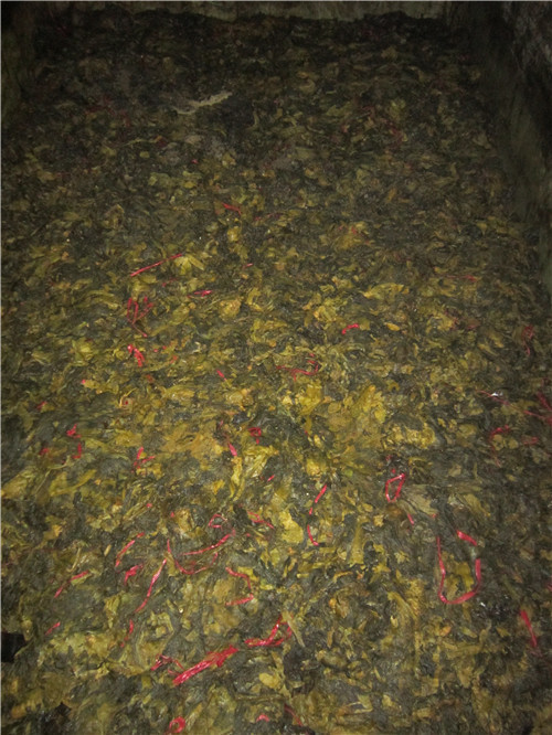 三池高菜切段