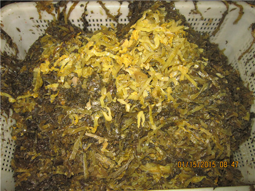 三池高菜切段