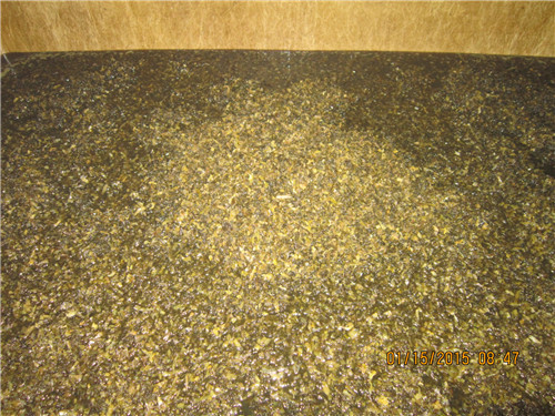 三池高菜切段